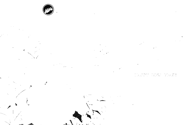 新年好吉他谱-C调标准版-简单吉他谱-1