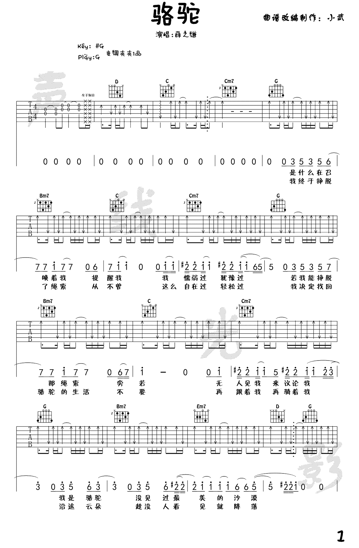 骆驼吉他谱-薛之谦-G调指法-《骆驼》吉他弹唱1