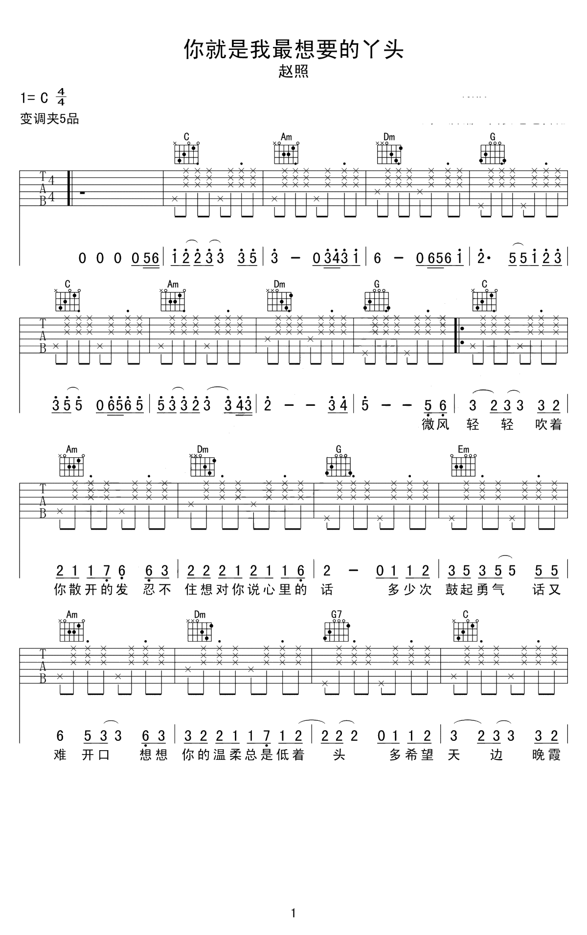 你就是我最想要的丫头吉他谱-赵照-C调弹唱谱-1