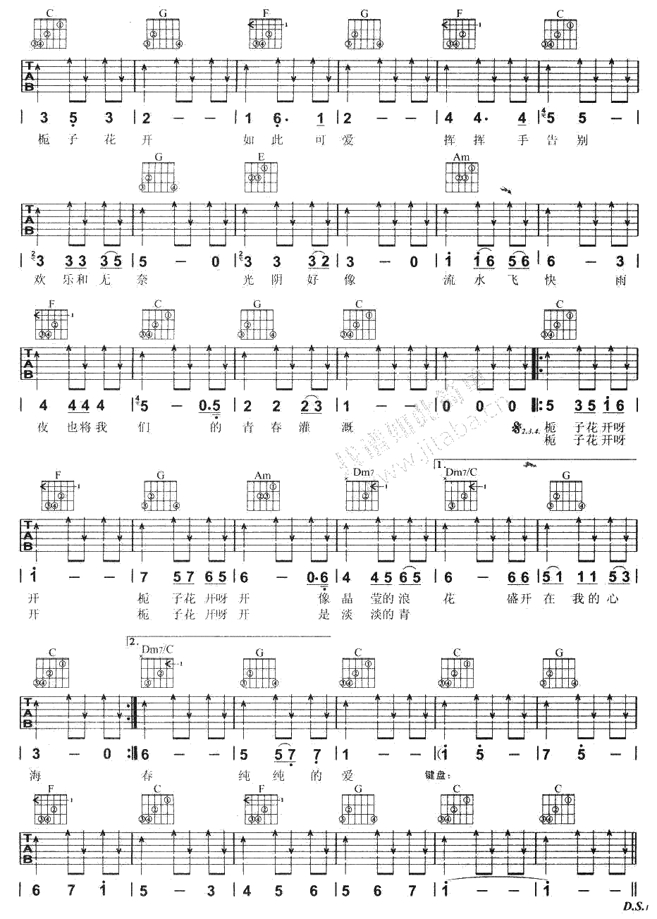 栀子花开吉他谱 C调指法 何炅(李易峰) 毕业季歌曲弹唱2