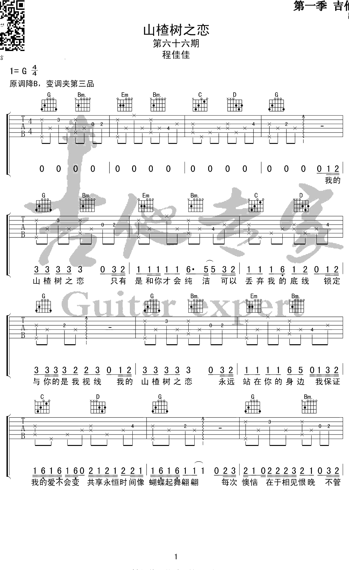 山楂树之恋吉他谱 G调吉他弹唱 大能人/程佳佳1