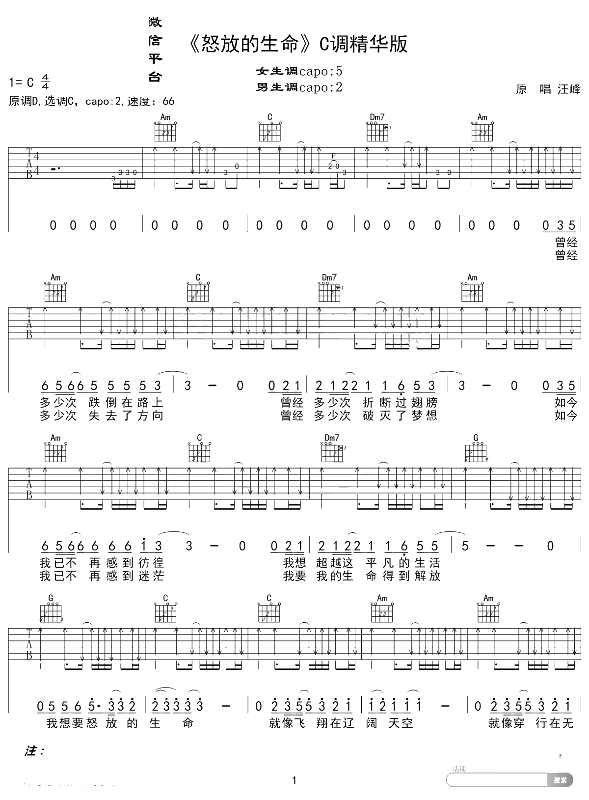 怒放的生命吉他谱 汪峰 C调精华版 高音教编配 1