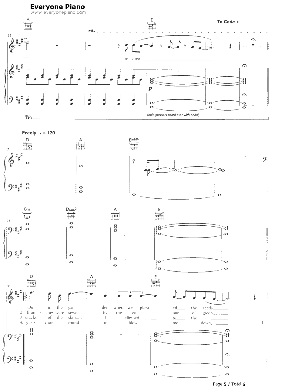 To Build a Home钢琴谱-TheCinematicOrchestra5